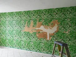 Wallpaper removal in Detroit, MI